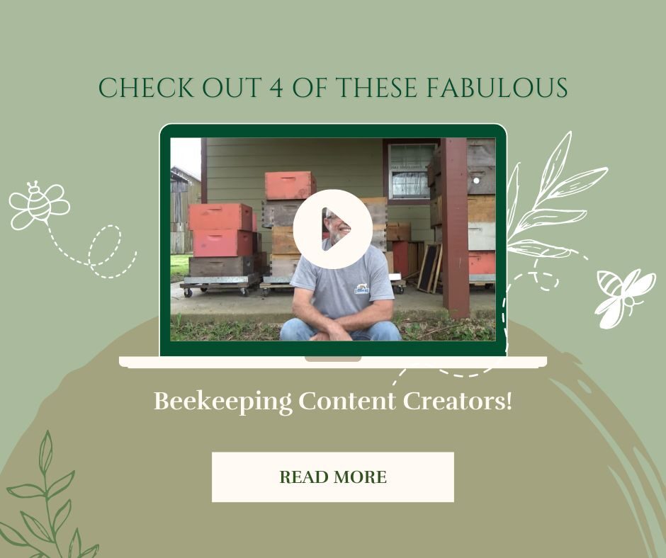 Check Out 4 of These Fabulous Beekeeping Content Creators!