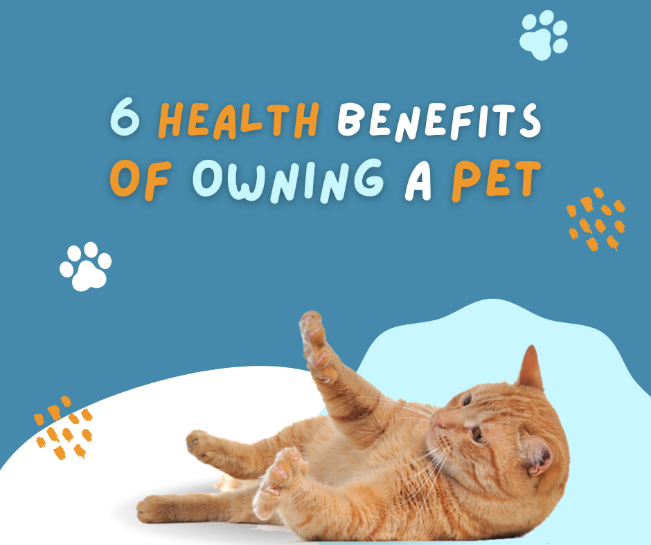 What are the health benefits of owning a pet?