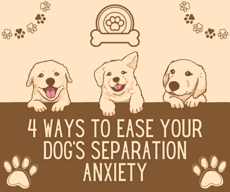 Find out how to ease your pupper's separation anxiety here.