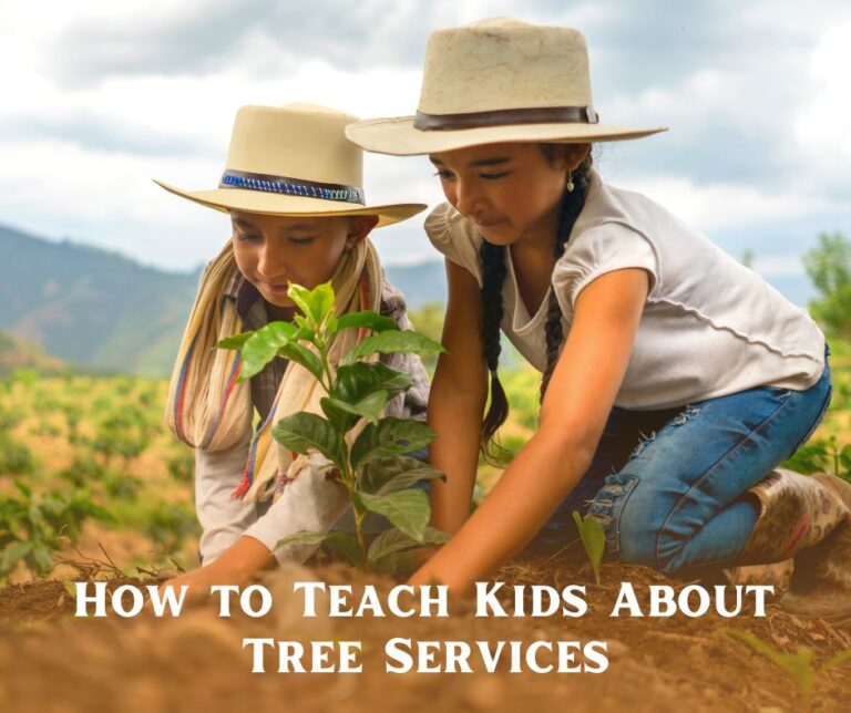 kids-can-learn-about-orange-county-tree-removal-services