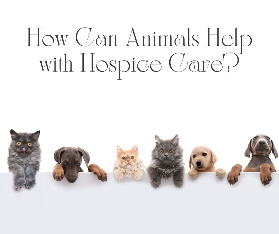 How-Animals-Help-with-Hospice-Care