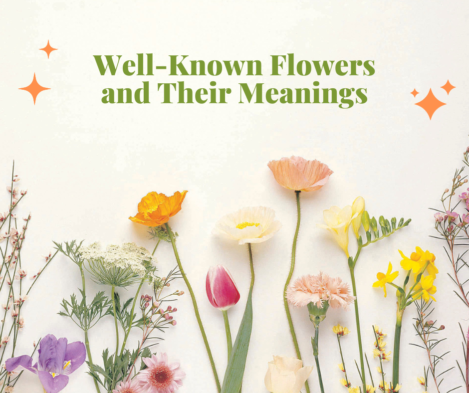 What meanings do certain flowers have?
